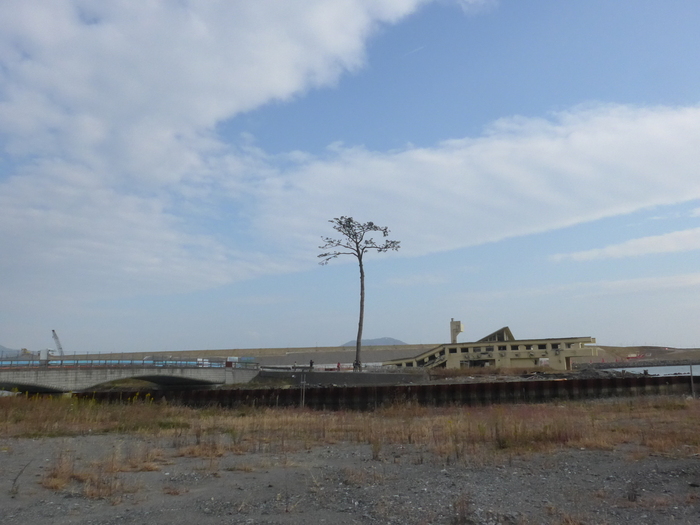 気仙沼と陸前高田へ行く。 ~後編~_f0232060_16162450.jpg