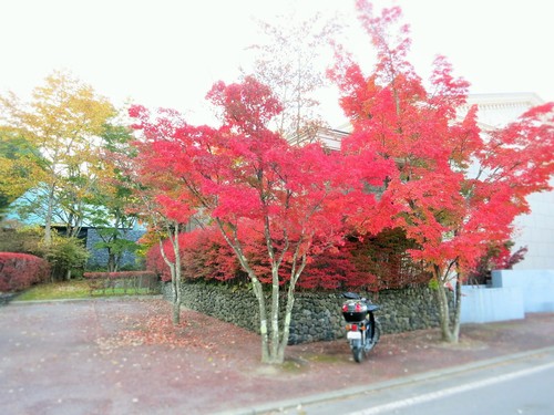 f0236260_0533494.jpg