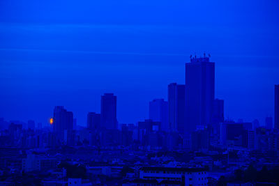 a0155464_71956.jpg