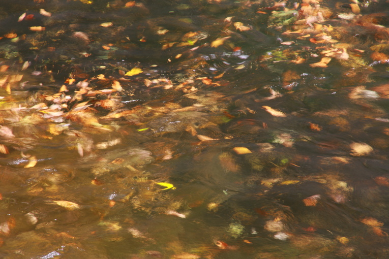 e0165983_9321351.jpg