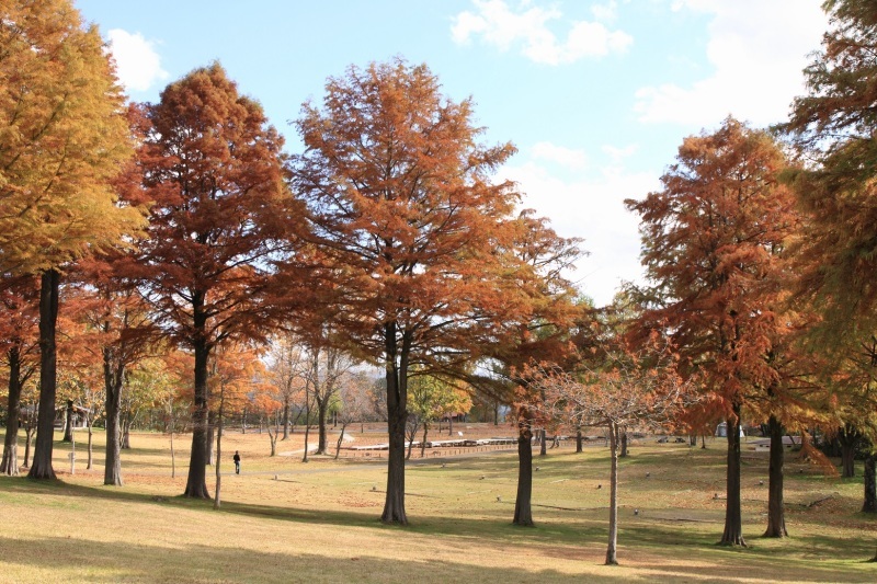 f0350585_12433883.jpg