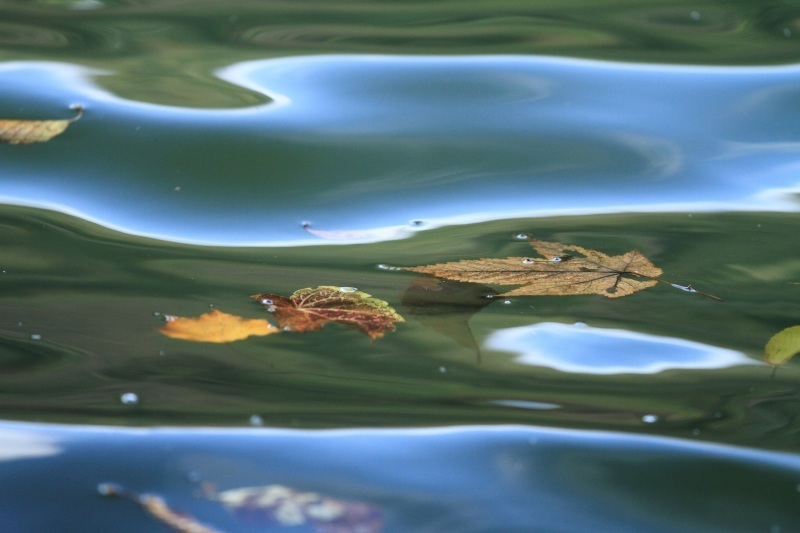 f0350585_14345747.jpg