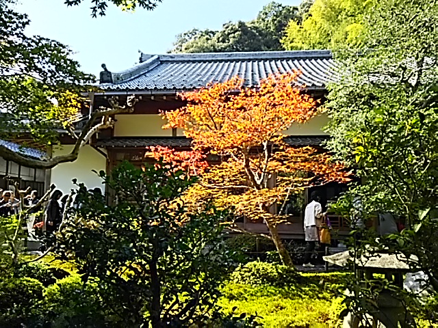 c0204188_18247.jpg