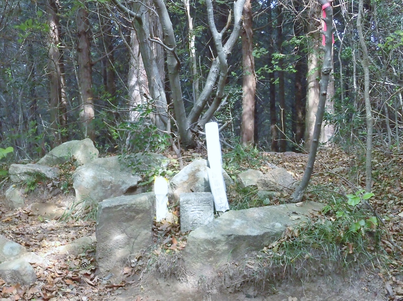 d0125589_59383.jpg