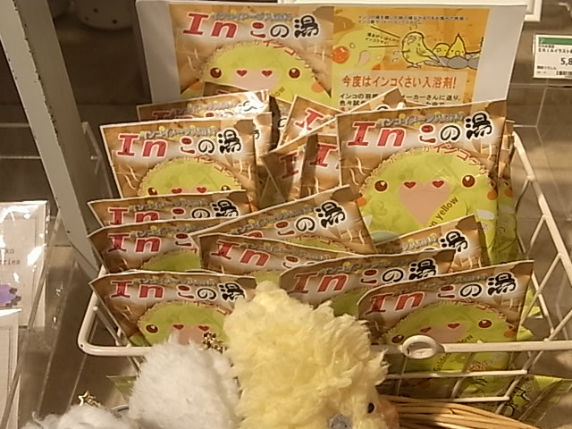 インコと鳥の雑貨展オクムラミチヨ、工房小鳥屋作品お届け!_d0322493_23191662.jpg