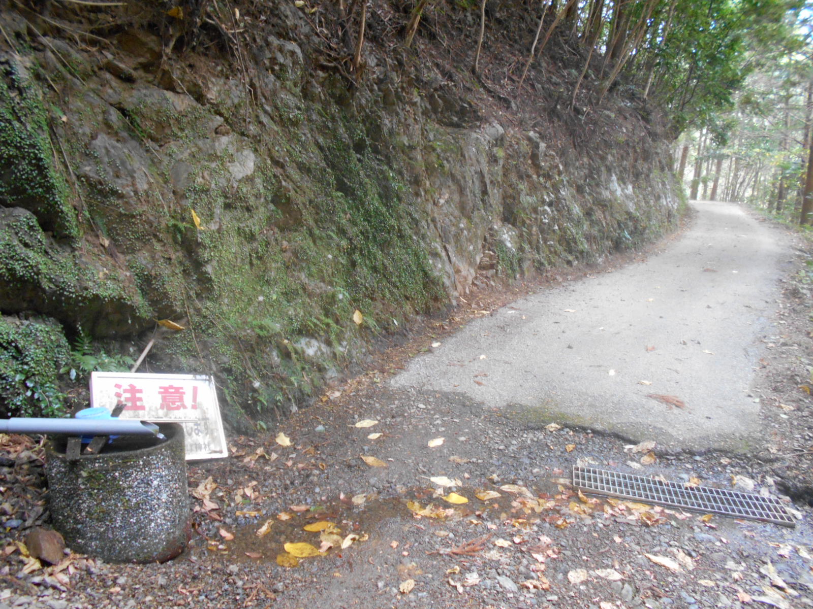 f0308898_20121528.jpg