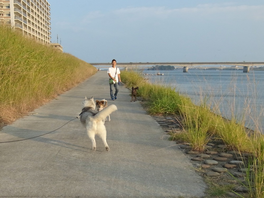 c0049299_21475840.jpg