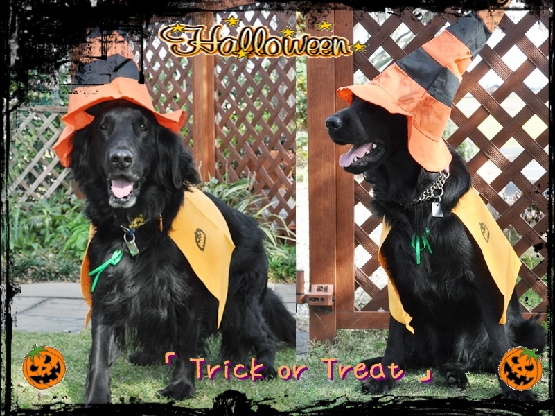 \'15 Happy Halloween_f0176499_01543755.jpg