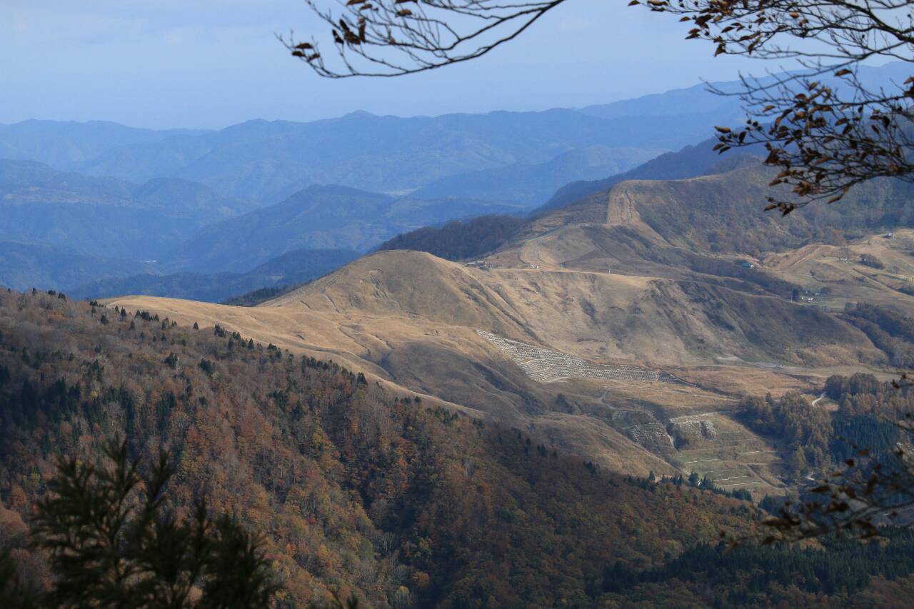 a0327600_21431775.jpg