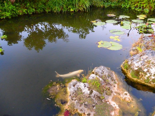 b0292900_15253903.jpg