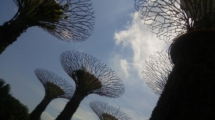 c0212604_18563834.jpg