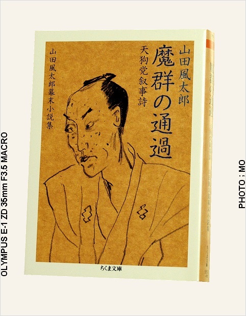 武田耕雲斎 : 栃木、福島の戊辰戦争史跡