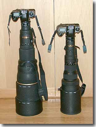 Nikkor ED500mm F4P : カワセミ王国 Nikkor ED500mm F4P : カワセミ王国