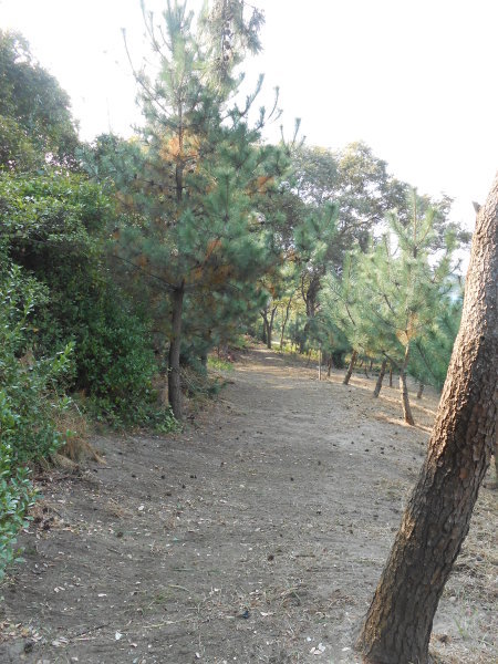 c0367107_07333272.jpg