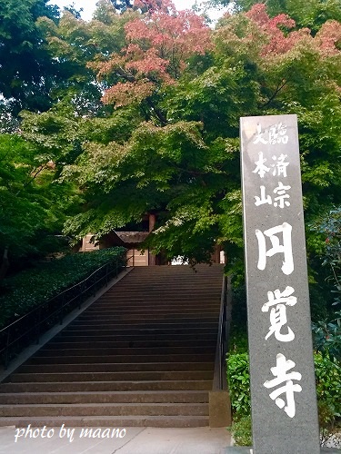 c0155110_0361913.jpg