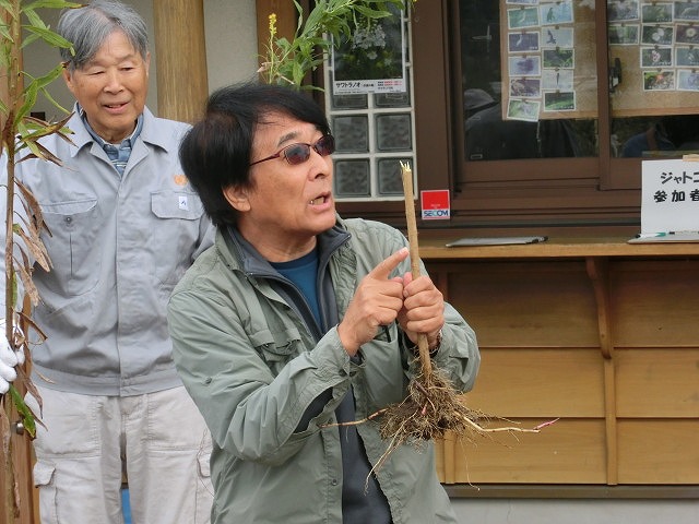 浮島ヶ原自然公園で「セイタカアワダチソウをやっつけよう!」作戦_f0141310_9274055.jpg
