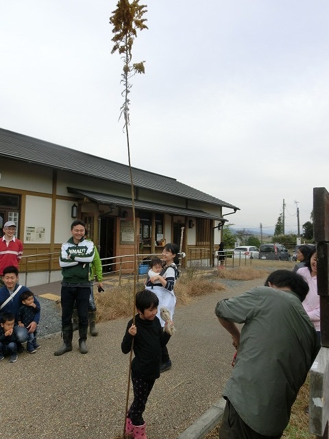 浮島ヶ原自然公園で「セイタカアワダチソウをやっつけよう!」作戦_f0141310_932193.jpg