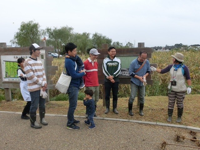 浮島ヶ原自然公園で「セイタカアワダチソウをやっつけよう!」作戦_f0141310_9322844.jpg