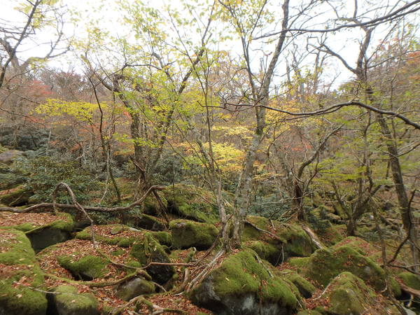 d0198313_924882.jpg