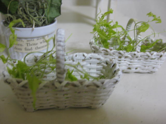c0085916_0511227.jpg