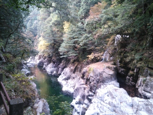 紅葉狩り?_c0339918_10215712.jpg