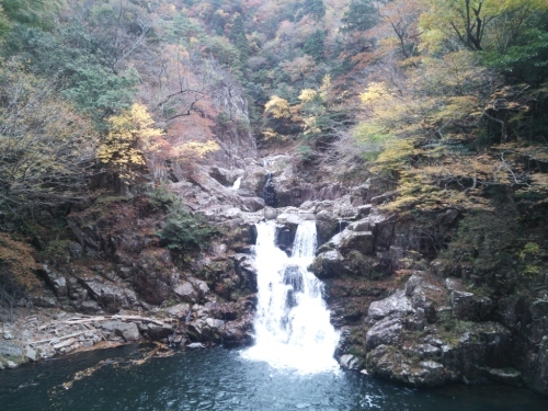 紅葉狩り?_c0339918_10224806.jpg