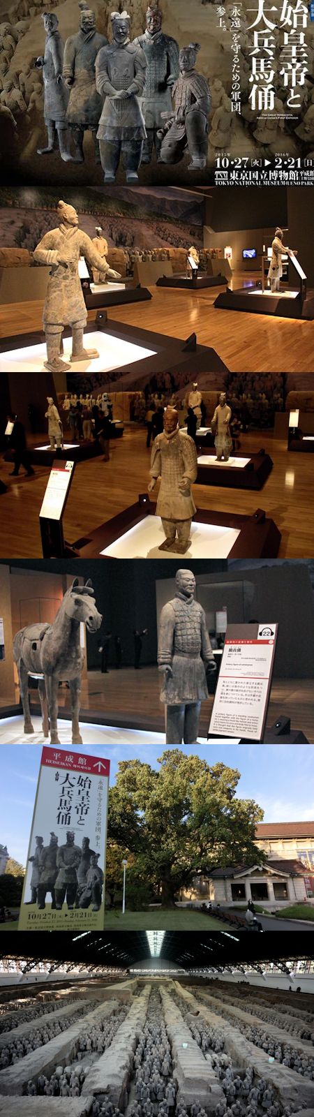 東京国立博物館の特別展「始皇帝と大兵馬俑」_c0315619_14432071.jpg