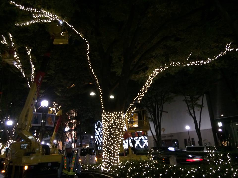 c0221922_8434240.jpg