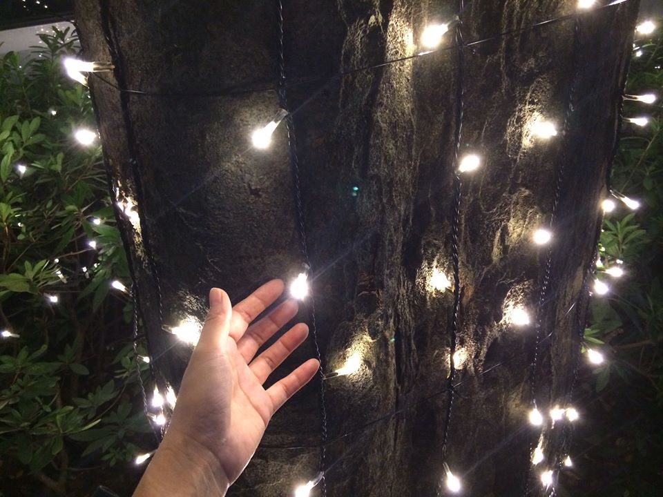 c0221922_8442161.jpg