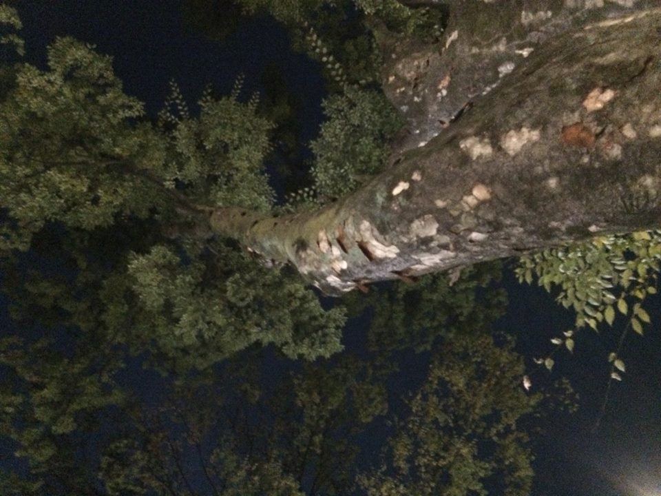 c0221922_844505.jpg