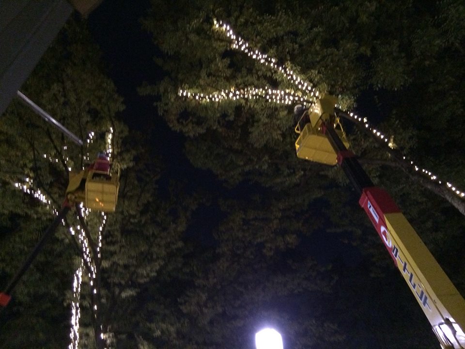c0221922_8451771.jpg