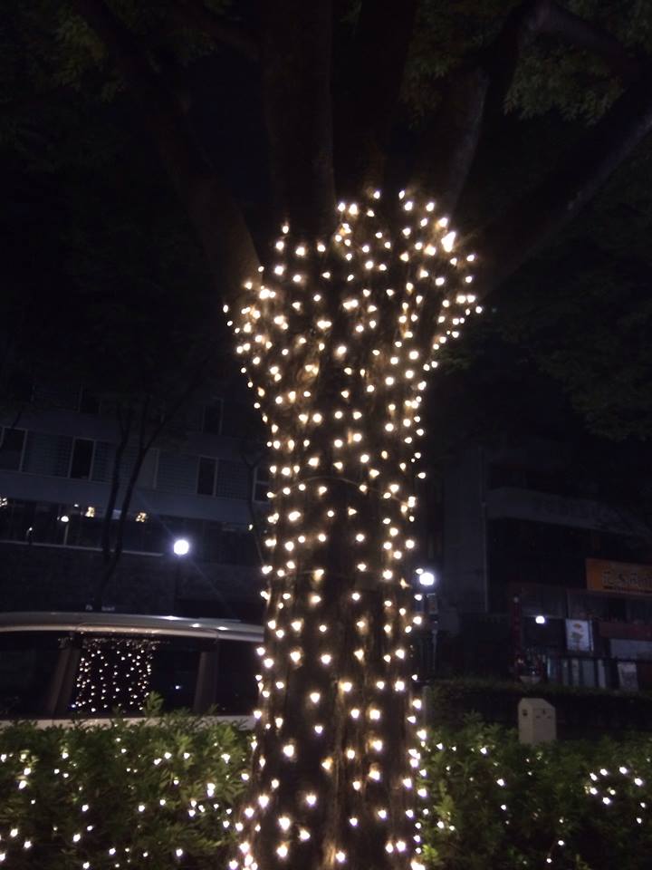 c0221922_8483161.jpg