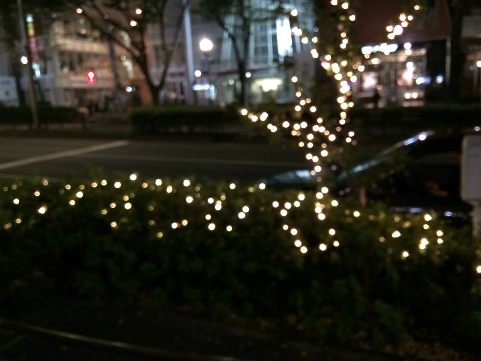 c0221922_8511178.jpg