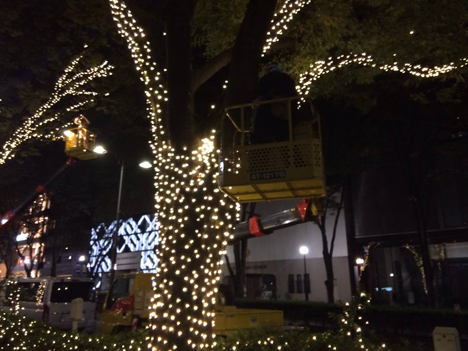 c0221922_8523429.jpg