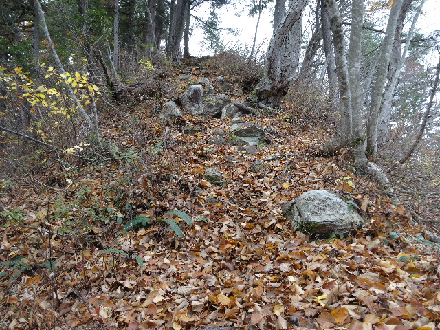 c0141223_21405020.jpg