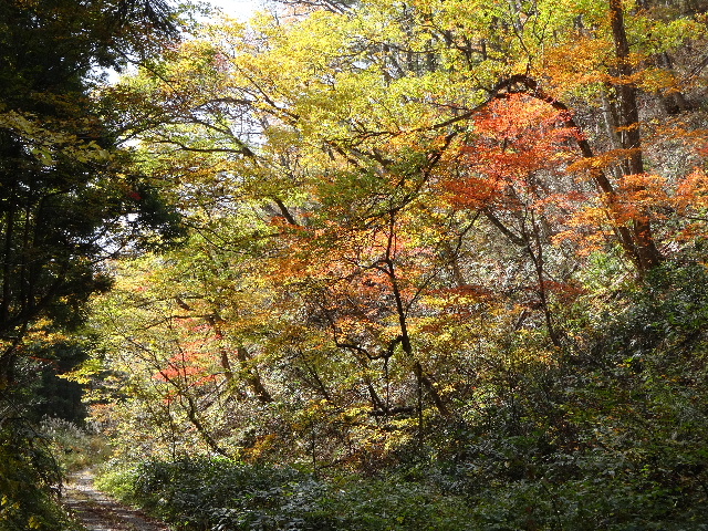 c0141223_21464561.jpg