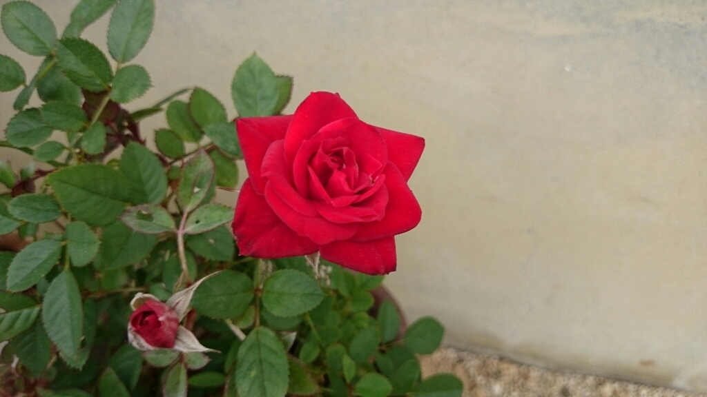 e0263224_13270321.jpg