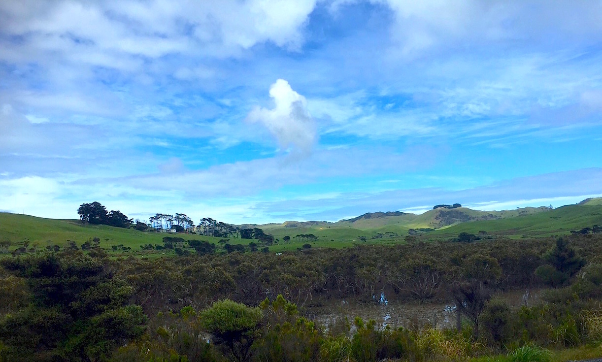 e0310424_15391889.jpg