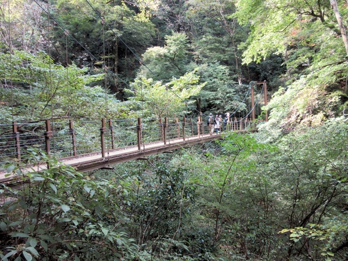 a0248728_1556699.jpg