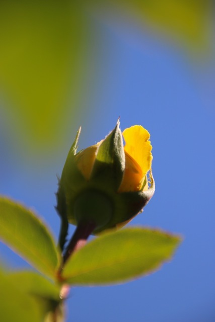 f0348831_07423924.jpg
