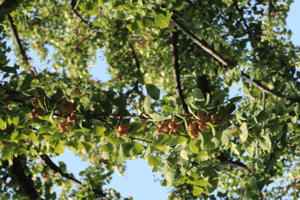 f0229832_8281077.jpg