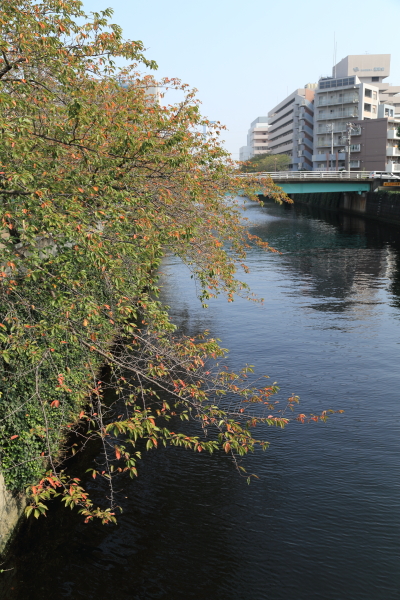 f0229832_88833.jpg