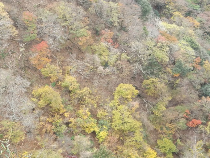 a0206345_19245819.jpg