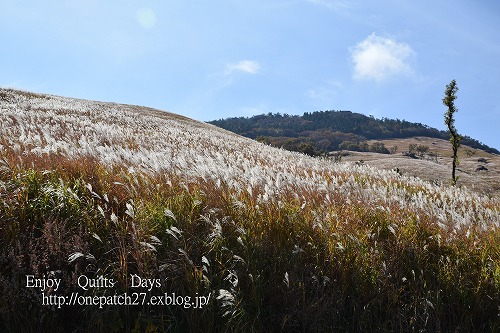 ススキ野原_f0343750_14292446.jpg