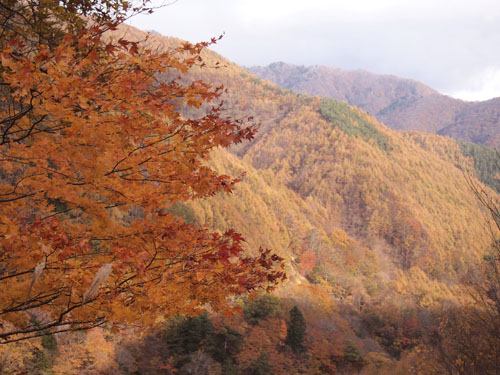 西沢渓谷で紅葉狩り_c0011862_1127267.jpg