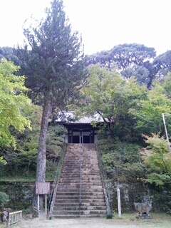 b0061863_11185567.jpg
