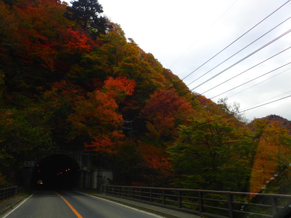 恒例 紅葉温泉美食焚火ハロウィンキャンプ2015 ①_c0122670_22481380.jpg