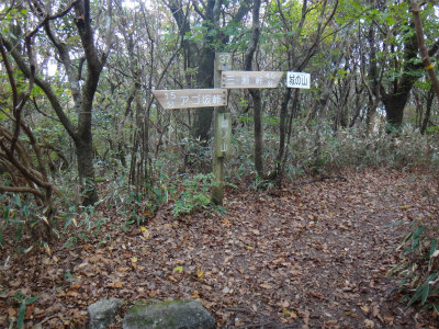 d0182075_5141520.jpg