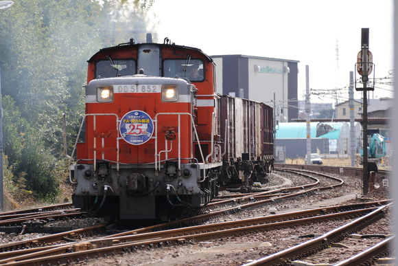 d0187275_21325329.jpg