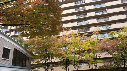 c0160277_20155556.jpg